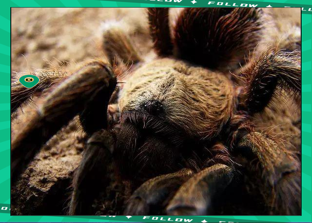 九游体育-莱万多夫斯基赛事官方发布比分优势明显新规，湖人争议不断！的简单介绍